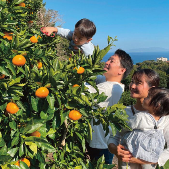 収穫体験農園ふたつぼり　みかん狩り＋ジャム作り体験　１名様