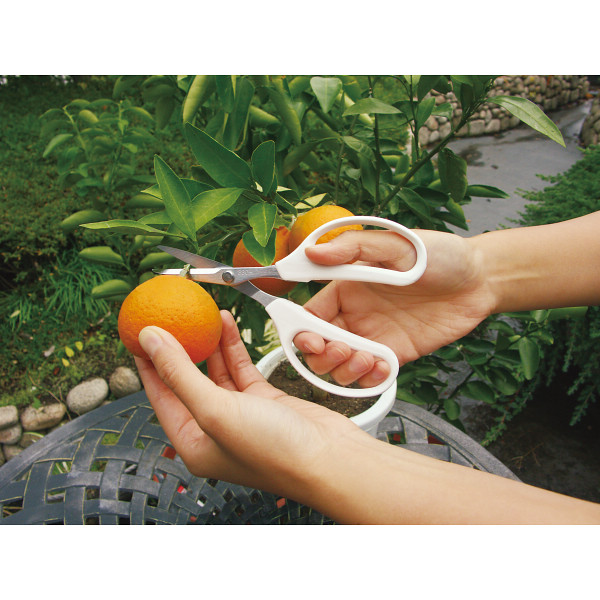 アルス　多用途鋏・ヤスリセット