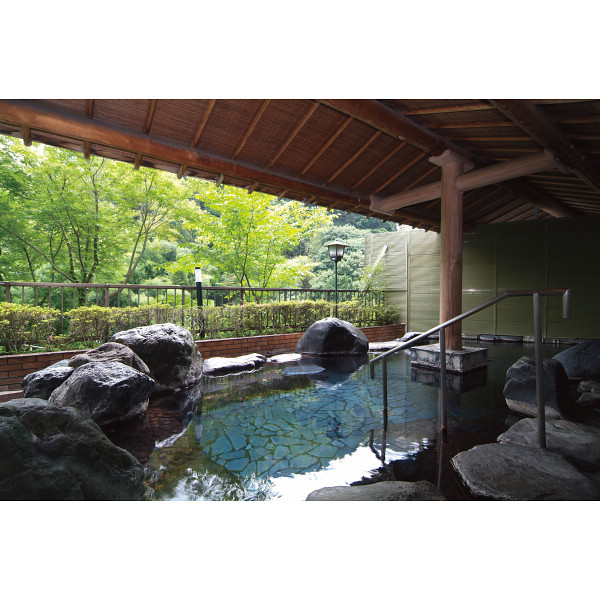 大滝ホテル　日帰り入浴　２名様