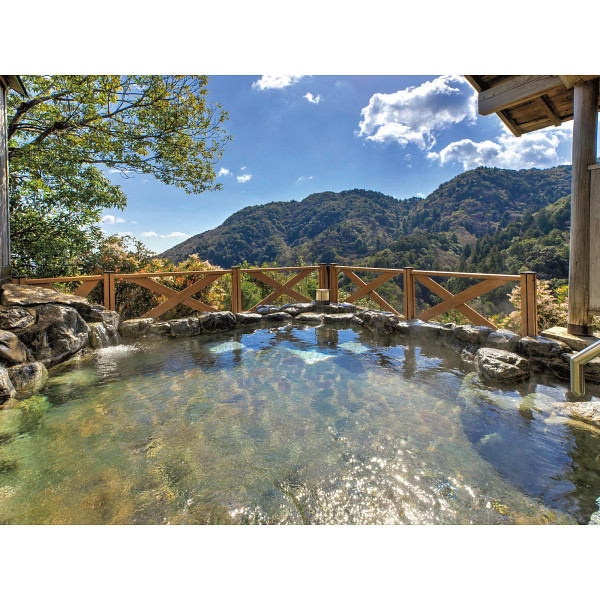 湯の山温泉　ホテル湯の本　日帰り入浴　２名様