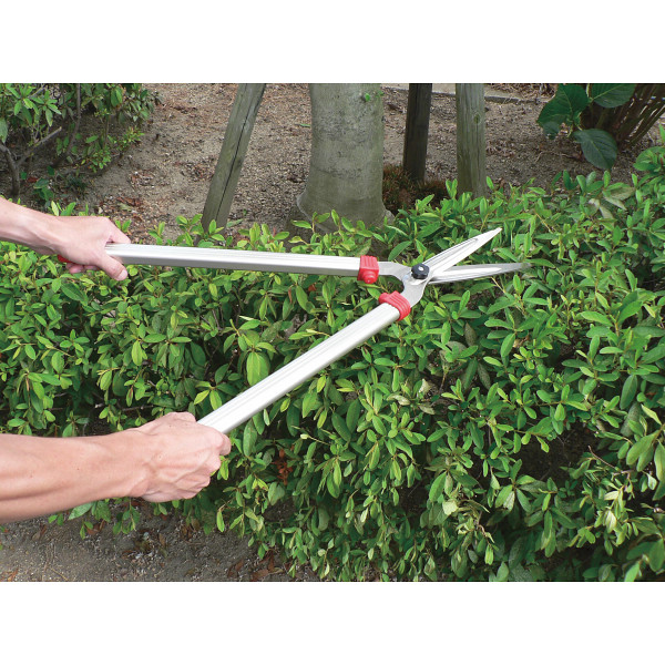 アルス　園芸２点セット