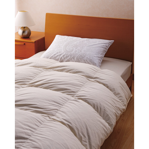 ピレネックス　ナンテ羽根まくらペイズリーピロケースセット