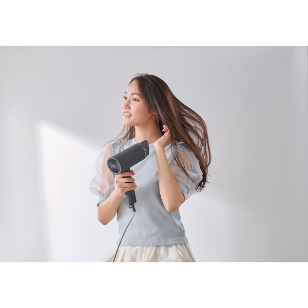 アイリスオーヤマ　イオンドライヤー