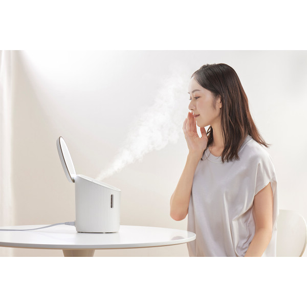 アイリスオーヤマ　フェイススチーマー