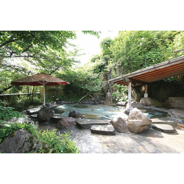 湯めぐりの宿　楠水閣　日帰り入浴＋昼食付　２名様