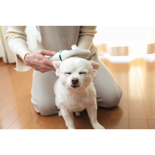 アナバス　ペットドライヤー