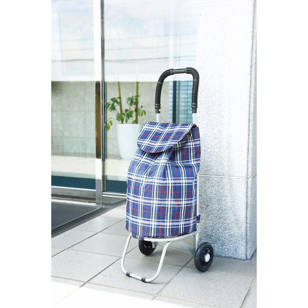 ショッピングカート　メロディライト