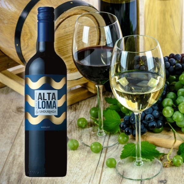 ウンドラーガ　紅白ワインセット（２本）