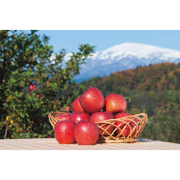 （頒布会・親）梨・りんご