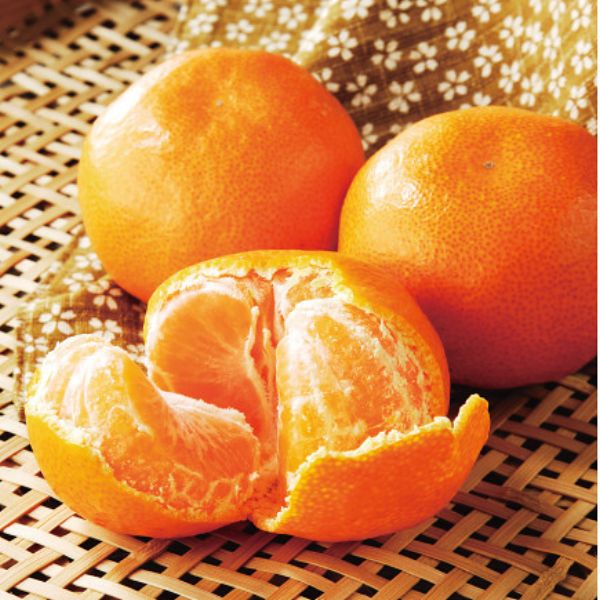 和歌山早生みかん（７ｋｇ）