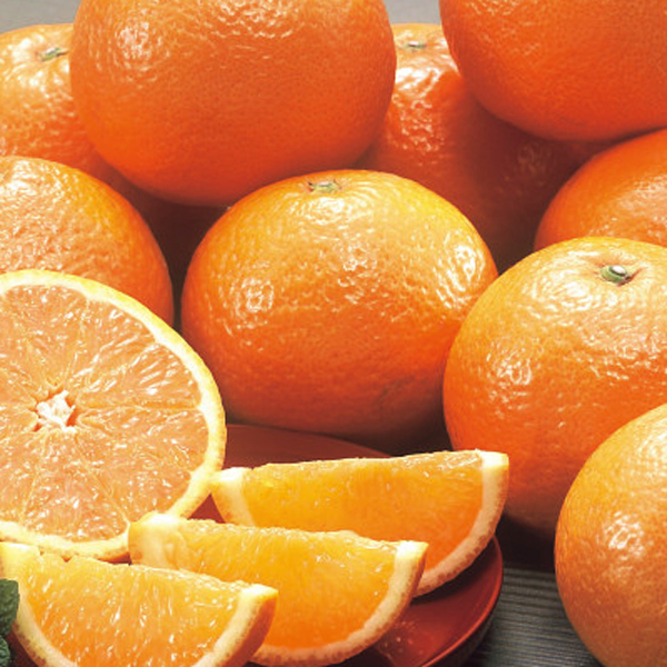 国産清見オレンジ（２ｋｇ）
