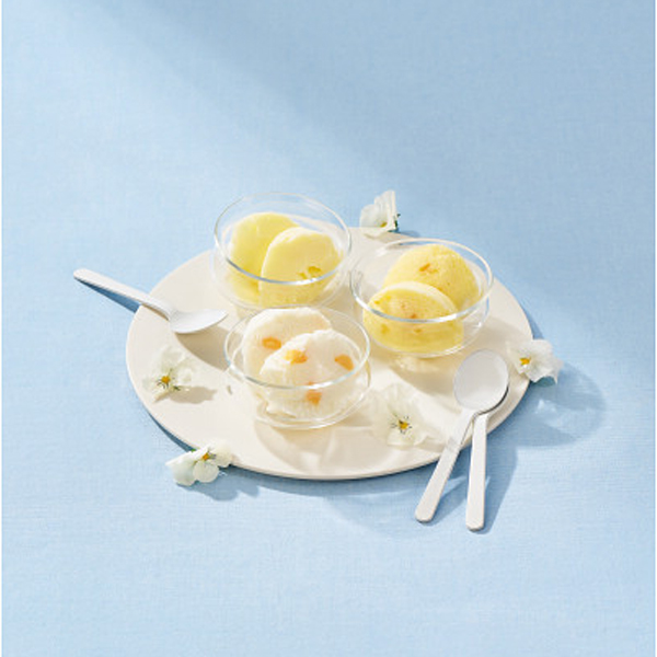 ザ・スウィーツ　日本の柑橘シャーベット（９個）