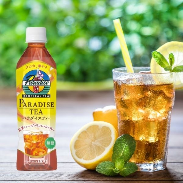 ＵＣＣ　パラダイスティー（２４本）