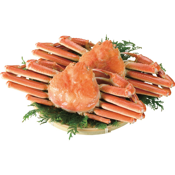 ボイルずわいがに姿（２杯　計１ｋｇ）