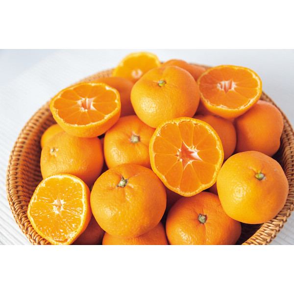 和歌山県産　有田みかん（３ｋｇ）