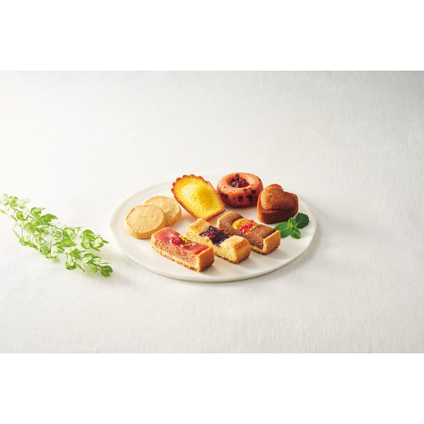 ハリーズレシピ　タルト・焼き菓子セット A