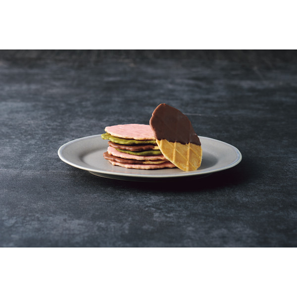 ｔｈｅ　ｓｗｅｅｔｓ　チョコワッフルクッキー（４８枚） B