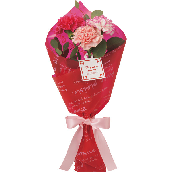 5/12まで申し込み可　【母の日専用】アンリ・シャルパンティエ　フィナンシェと母の日花束のセット