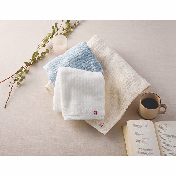 極ふわ　やさしいたおる　ベーシックライン　フェイスタオル２枚セット　A