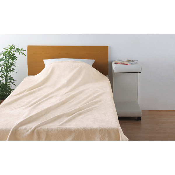 ｎｉｓｈｉｋａｗａ　シルク毛布（毛羽部分）