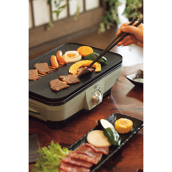 アラジン　グラファイトミニグリラー　グリーン