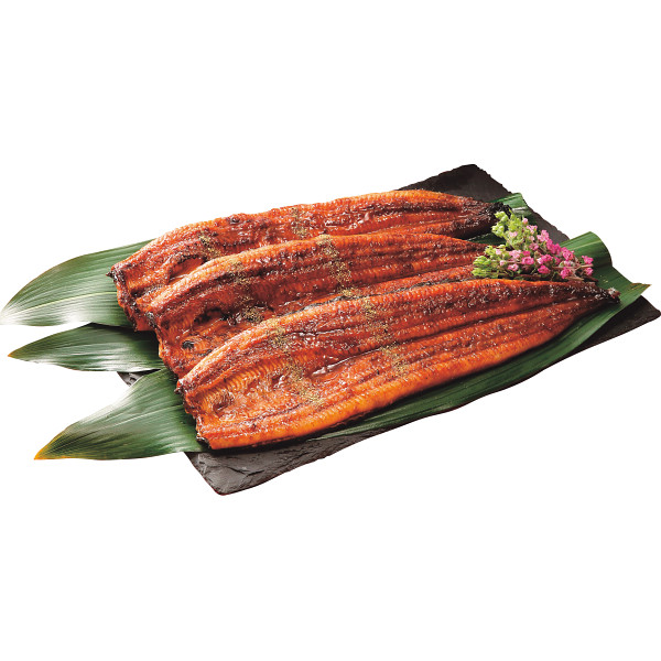 鰻楽　国産うなぎ蒲焼（長焼）（３尾）