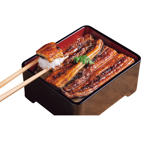 愛知県産　炙りうなぎ蒲焼（２尾）