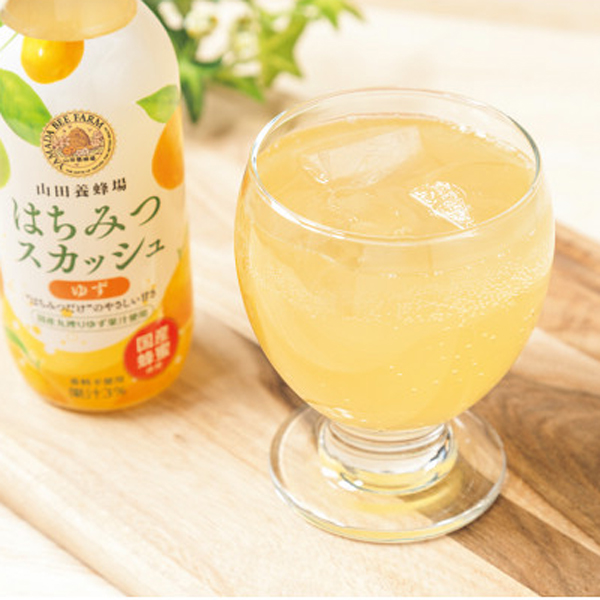 山田養蜂場　国産はちみつスカッシュ（１０本）