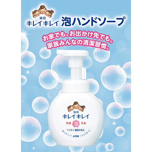 ライオン　キレイキレイギフトセット