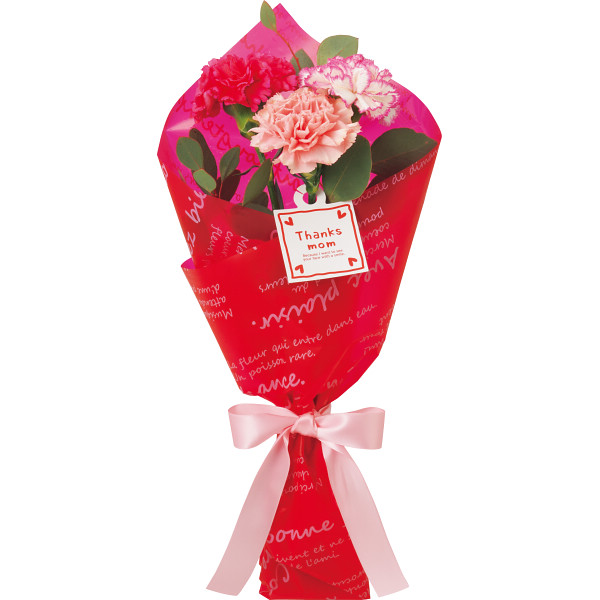 5/11まで申し込み可　【母の日専用】ゴディバ　あまおう苺クッキーと母の日花束のセット