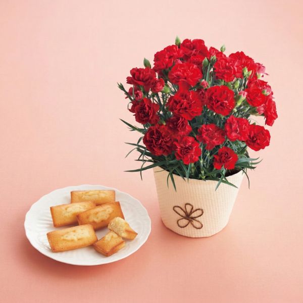 4/30まで申し込み可　【母の日専用】アンリシャルパンティエフィナンシェとカーネーションレッド４号セット