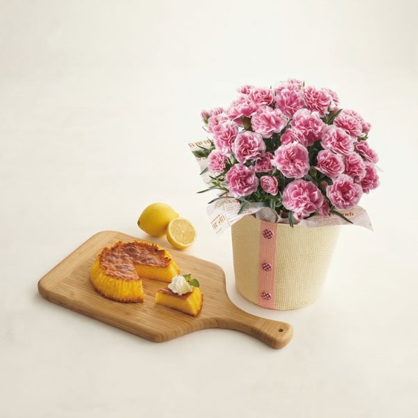 4/30まで申し込み可　【母の日専用】瀬戸内レモンのしっとりカステラとカーネーション鉢植え５号のセット