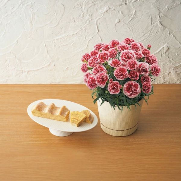 4/30まで申し込み可　【母の日専用】ねんりん家マウントバームとカーネーションいちごホイップ５号セット