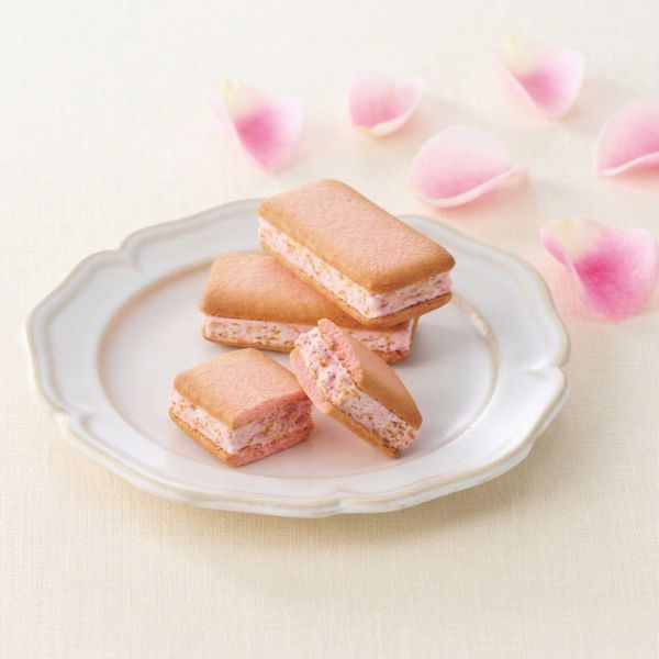 4/30まで申し込み可　【母の日専用】苺きららとカーネーション鉢植え「いちごホイップ」５号のセット