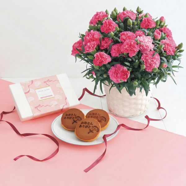 4/30まで申し込み可　【母の日専用】ホシファーム　カーネーション鉢植え「ホットハート」５号＆徳島なると金時のどら焼き