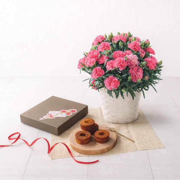 4/30まで申し込み可　【母の日専用】ホシファーム　カーネーション鉢植え「ホットハート」５号＆焦がしキャラメルがしみ込んだバーム