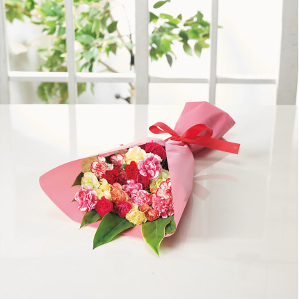 5/17まで申し込み可　【母の日専用】７色スプレーカーネーションブーケ