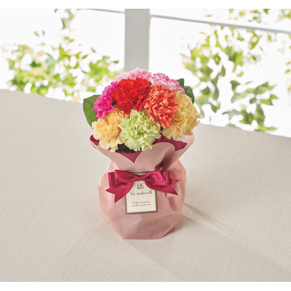 5/17まで申し込み可　【母の日専用】そのまま飾れるブーケ　７色ミックスカーネーション