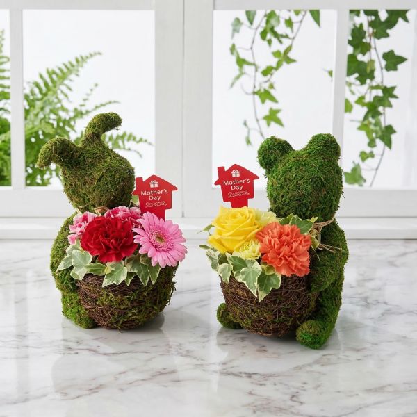 5/17まで申し込み可　【母の日専用】モスラビット・アレンジ