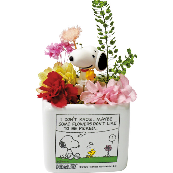 5/17まで申し込み可　【母の日専用】スヌーピーリトルガーデン（プリザーブドフラワー）