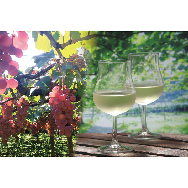 6/21まで申し込み可　山梨クラフトＭｙワインオーナー＋名入れワイングラス付き２名様　プラン