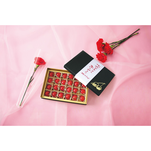 4/27まで申し込み可　【母の日専用】さくらんぼ（佐藤錦）とカーネーションのセット