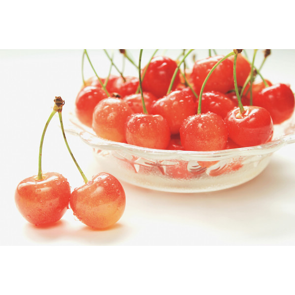 5/17まで申し込み可　母の日専用　ハウスさくらんぼ佐藤錦特秀３００ｇとカーネーション