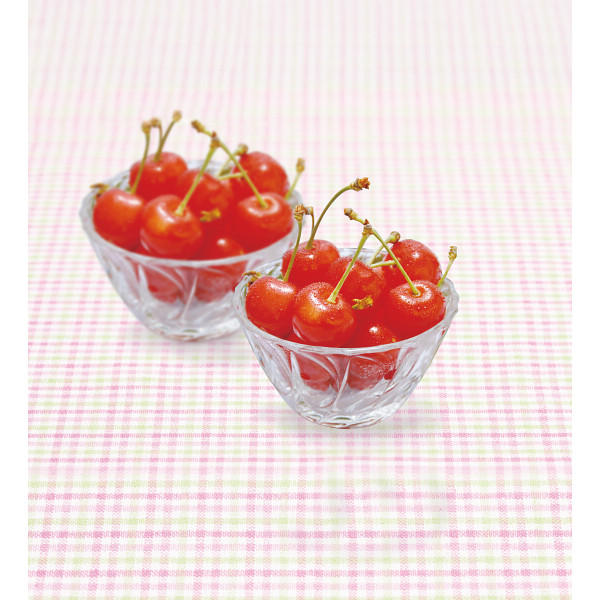 5/17まで申し込み可　【母の日専用】佐藤錦　ハウスさくらんぼ