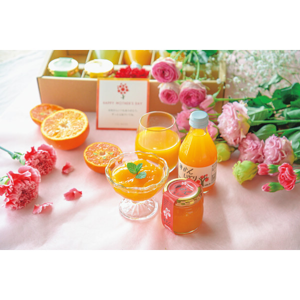 6/21まで申し込み可　【父の日専用】伊藤農園　果汁１００％ピュアジュース＆寒天ジュレセット