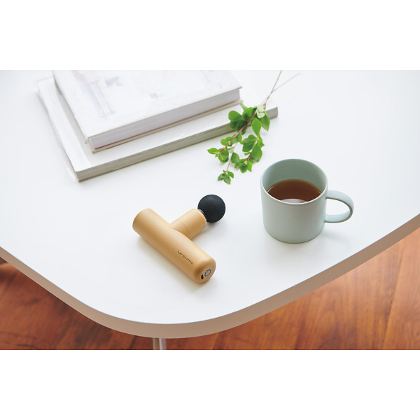 6/21まで申し込み可　【父の日専用】シックスパッド　パワーガン　スリム