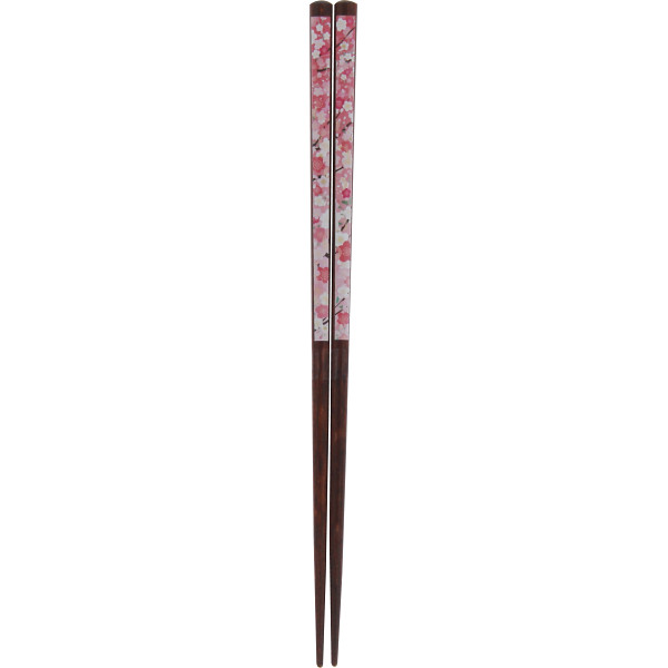 いろどり箸 桜花爛漫
