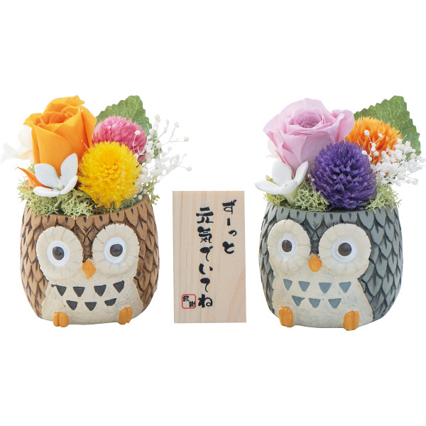 しあわせふくろう２色セット(プリザーブドフラワー)