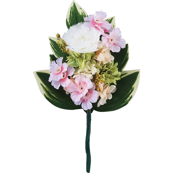 四季仏花 春(サクラ）