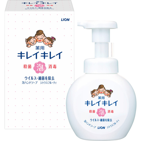 ライオン キレイキレイ薬用泡ハンドソープ(２５０ｍｌ箱入)A